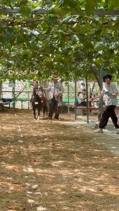 毎年恒例の…の記事動画