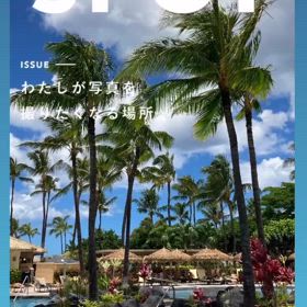 最近のインスタの流行り〜2024/06/25の画像