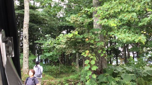 本気になりたい？道東リトリートでした。の記事動画