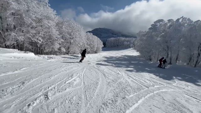 仕事も遊びも準備が大事！しかーし足りなかったこと…の記事動画