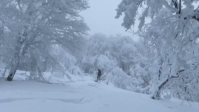 心の平和は家族との関係が肝となる2023年の記事動画