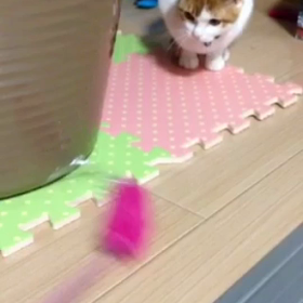 お気に入りの画像