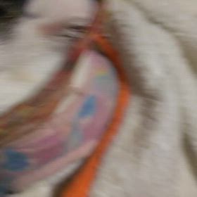 １枚の動画（かっぱちゃん）の画像