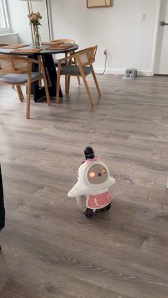 ゾーイが！の記事動画
