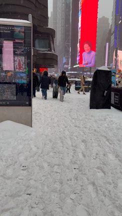 ニューヨーク雪嵐の記事動画