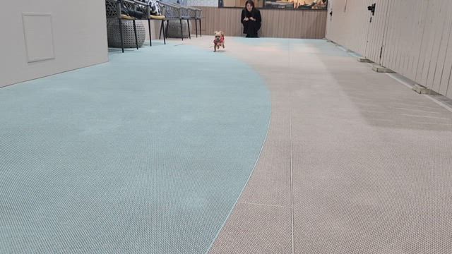また一つ歳を重ねました！の記事動画