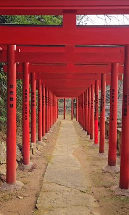 山陰の清水寺からこんにちは！の記事動画