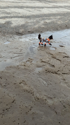 ふたたび…の記事動画