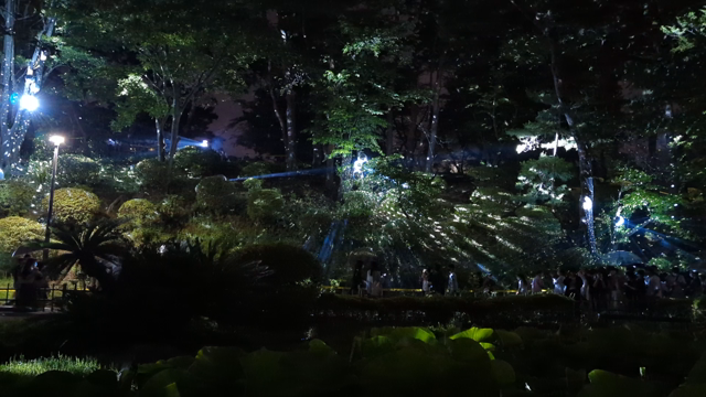 夜ハスの記事動画