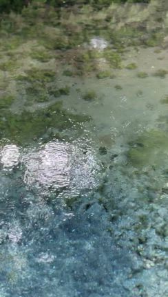 白川水源　水晶館の記事動画