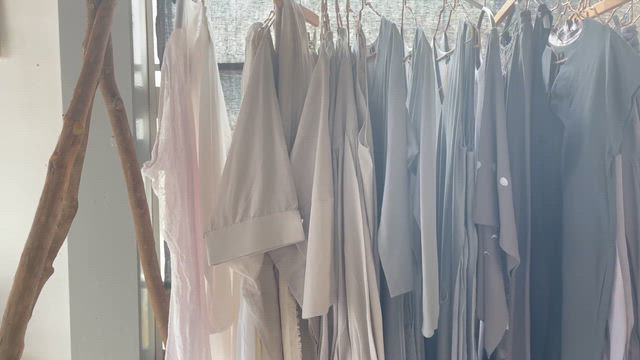 リトルイーグル衣展の記事動画