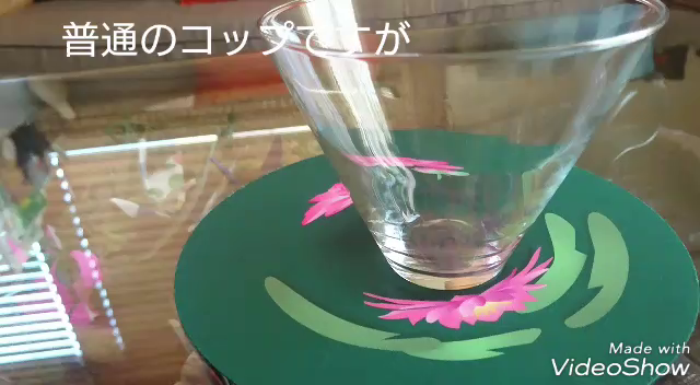 コップにお花が咲きます。の記事動画