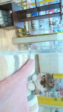 【みとろ～な】令和最初みと写真＋イオンへの記事動画