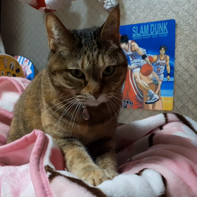 ふみふみの画像