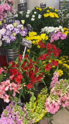 　人気の！wtw house ＆  am6 houseの記事動画