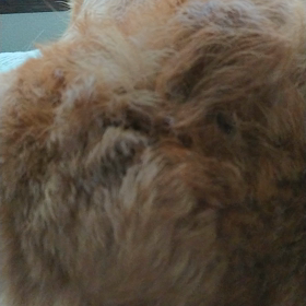 朝から……(*´ー｀*)の画像