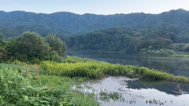 釣果良くなってきてます！真野ダム レンタルボートの記事動画
