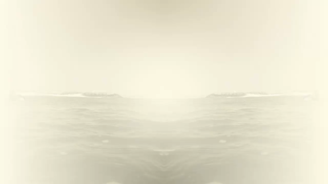 水中撮影！の記事動画