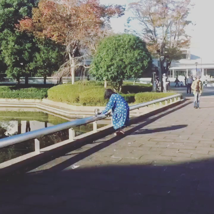 2019.11/4 Tsukuba Biennale 周縁の美学展 "LAND FES"の記事動画