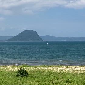（海）古傷の画像