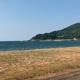 （海）さよならしっぽレングスの画像