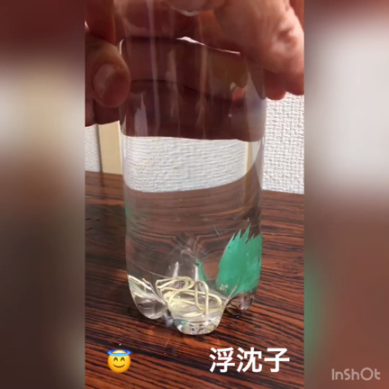 夏のお楽しみ会の記事動画