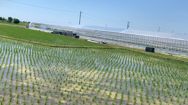 5月28日DB芸人ライブと29日メルれぴ田舎バス旅振り返りの記事動画