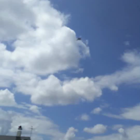 沖縄は大変だな‥の画像