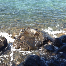 Maui7   The Chant of intense love at HAUOLA STONの画像