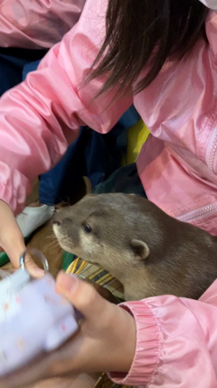 かわいいがすぎる○○カフェ☆の記事動画