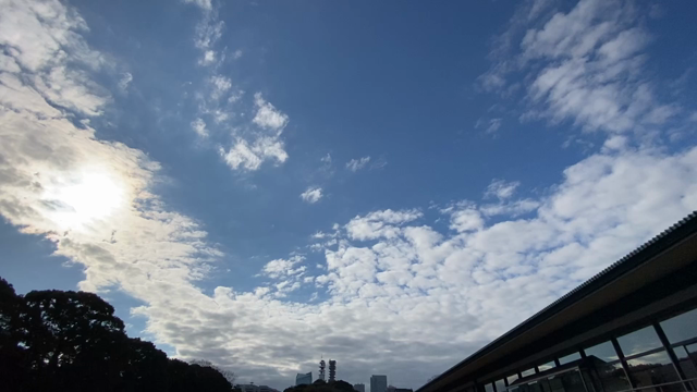 あけましておめでとうございます。今年も一般参賀へ来ています。の記事動画