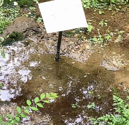 国立公園の中に里山がありました　ひたち海浜公園〜花園編の記事動画