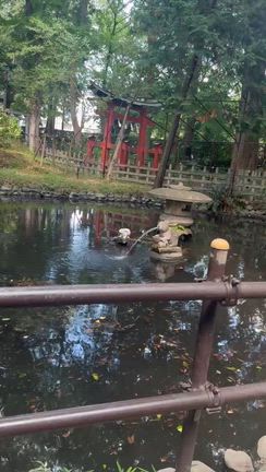 狛犬ではなくウサギです*:･ﾟ✧の記事動画