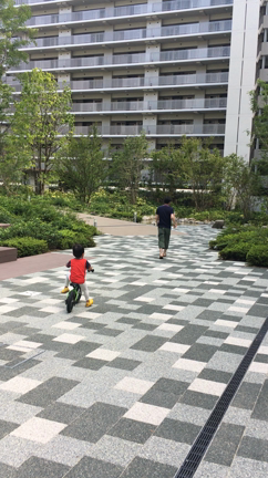 妹分の記事動画