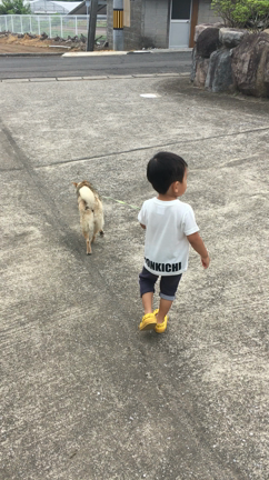 ふみちゃんの記事動画