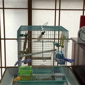 ゲラゲラポーの画像