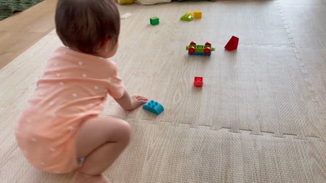 ハイハイようやくし始めましたの記事動画