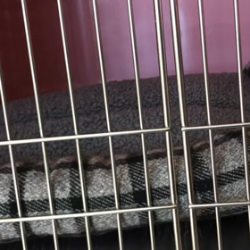 ベッドの下から！！の画像