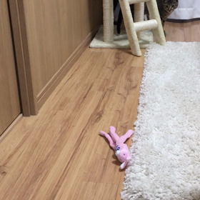 おもちゃの画像