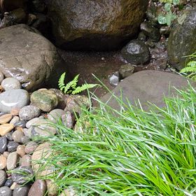 水琴窟の音がよく鳴っていますの画像