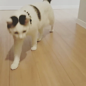 疲れが吹っ飛ぶ瞬間❤の画像