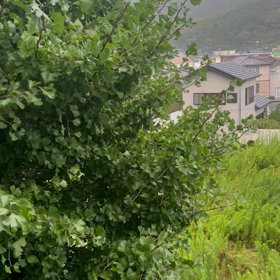 台風の画像