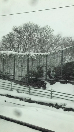 突然現れた雪景色(*'▽'*)の記事動画