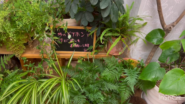今日、うちの仲間はどこ行った？の記事動画