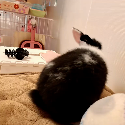 めちゃ慣れてきましたの記事動画