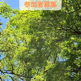 2025/05/06の画像