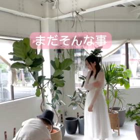 2024/11/05の画像
