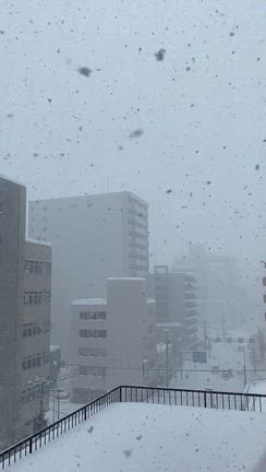 大雪の札幌  【タコス・デル・ノルテ】でコロナビールと羊と牛肉のタコスの記事動画
