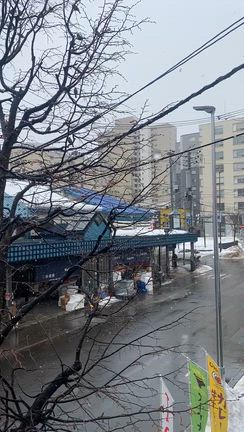 【大衆とり酒場 とりいちず】すすきの2号店  東京からの刺客チェーン店の記事動画