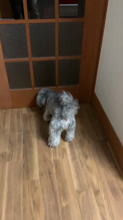 第一陣到着の記事動画